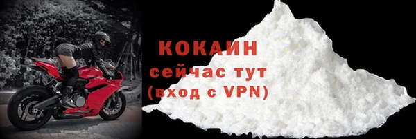 шишки Кукмор