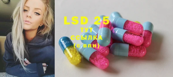 шишки Кукмор