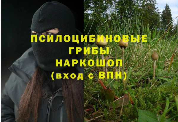индика Куйбышев