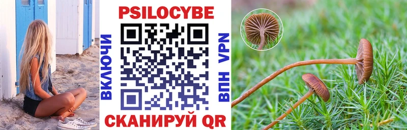 Псилоцибиновые грибы Magic Shrooms  магазин продажи   Мураши 